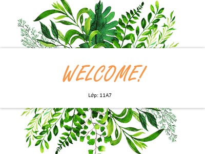 Bài giảng Sinh học lớp 11 - Bài học 8: Quang hợp ở thực vật
