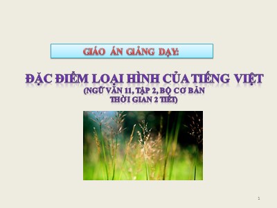 Bài giảng Ngữ văn 11 - Đặc điểm loại hình của Tiếng Việt