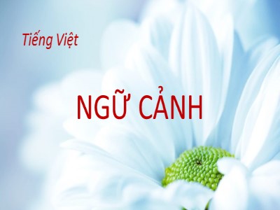 Bài giảng Ngữ văn 11 - Tiếng Việt: Ngữ cảnh