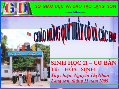 Bài giảng Sinh học 11 - Bài 12: Hô hấp ở thực vật - Năm học 2022-2023 - Nguyễn Thị Nhàn - Trường THPT Việt Bắc