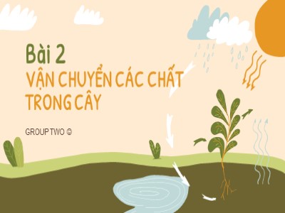 Bài giảng Sinh học 11 - Bài 2: Vận chuyển các chất trong cây - Năm học 2022-2023 - Nhóm 2 - Trường THPT Nguyễn Thái Học