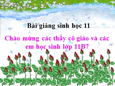 Bài giảng Sinh học 11 - Bài 42: Sinh sản hữu tính ở thực vật - Năm học 2022-2023 - Hoàng Kim Cúc - Trường THPT An Thới