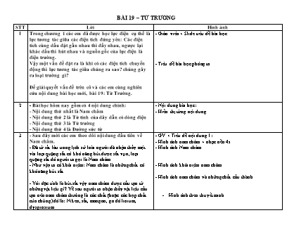 Thuyết minh bài giảng Vật lí Lớp 11 - Bài 19: Từ trường